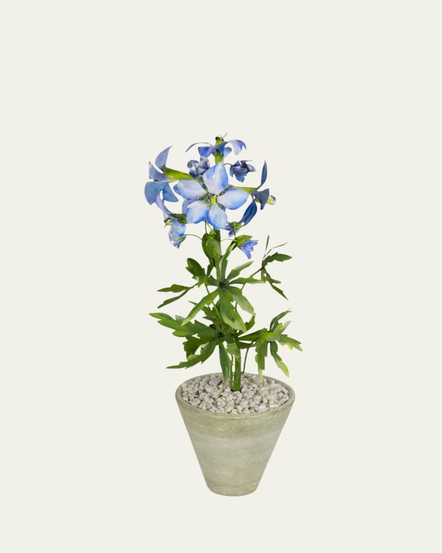 Delphinium July Birth Flower in White Terracotta Pot